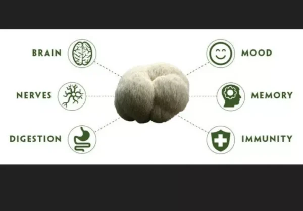 Lion's mane mushroom benefits for health.