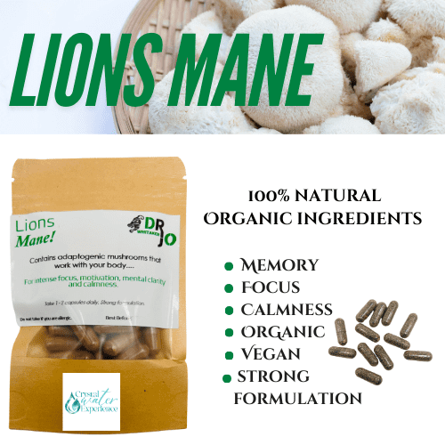 Lion’s Mane Capsules, Mushroom Extract
