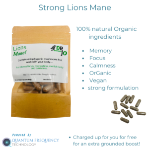 Lions Mane Capsules – Strong