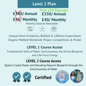 Crystal Water Experience Level 2 Plan