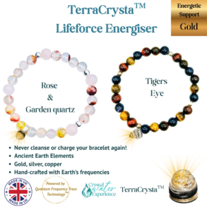 Quantum TerraCrysta Bracelets