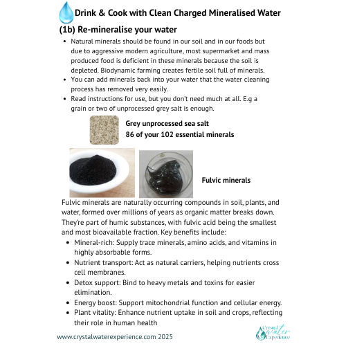 Detox Guide image 2