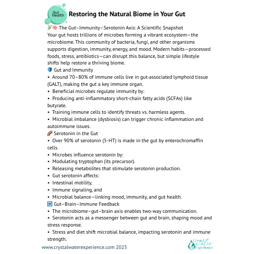 Detox Guide image 3