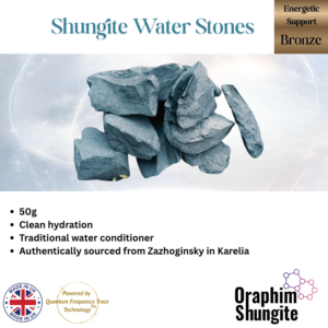 Shungite Water Stones