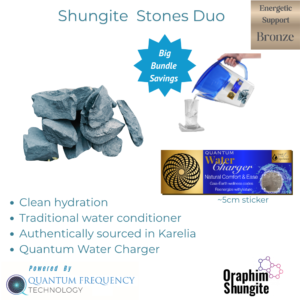 Shungite Water Stones & Charger Duo Pack