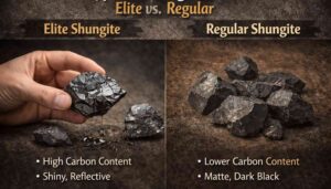 Elite Shungite Stone and Regular Shungite Stone