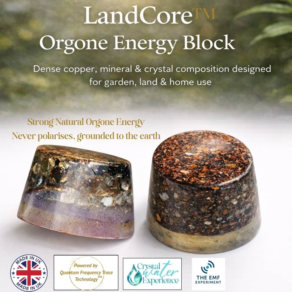 Land core - Organe energy block