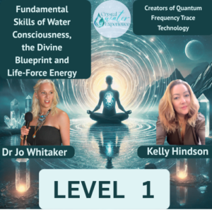 Level 1 Course