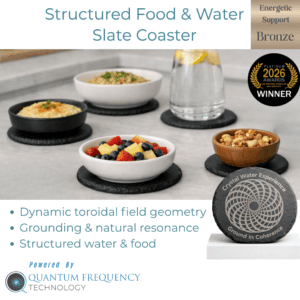 Structured Food & Water Slate Coaster
